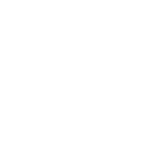 Soluciones-integrales